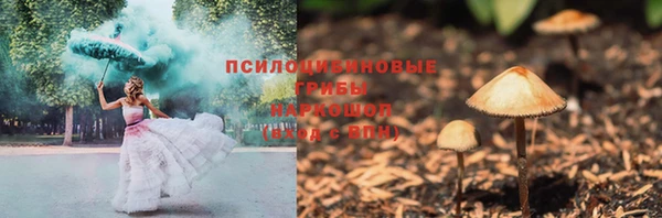 ПСИЛОЦИБИНОВЫЕ ГРИБЫ Корсаков
