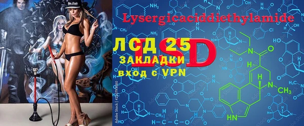 ПСИЛОЦИБИНОВЫЕ ГРИБЫ Коряжма