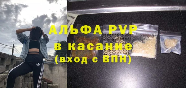 ПСИЛОЦИБИНОВЫЕ ГРИБЫ Корсаков