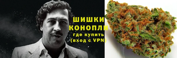 ПСИЛОЦИБИНОВЫЕ ГРИБЫ Корсаков